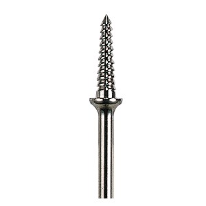 spindle shaped spindle shaped